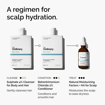 Natural Moisturizing Factors + HA for Scalp